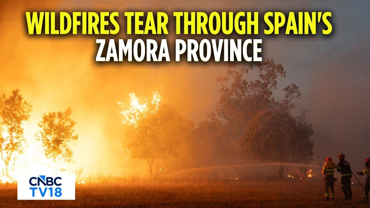 Spain Wildfires: Firefighters, Residents Fight Massive Blaze in Zamora | Europe | N18G
