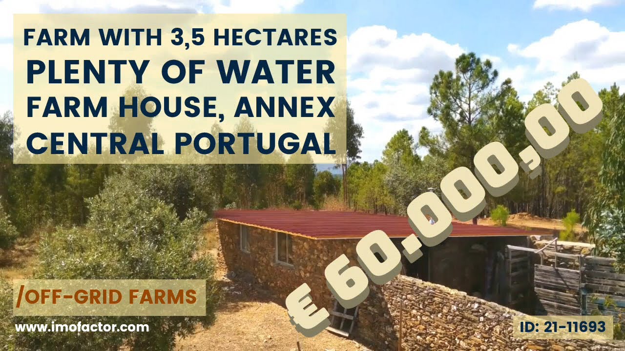 🏞️ Off-grid Farm for Sale in Central Portugal / Caravan House / Ruin / Pine Forest | Sold
