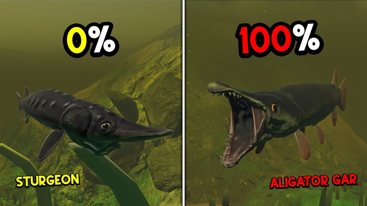 Gue Jadi Ikan STURGEON KERAS Sampai Mendapatkan ALIGATOR GAR TERKUAT... Feed And Grow Fish