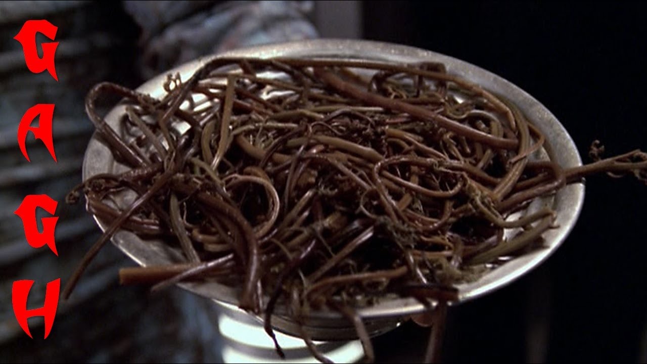 Gagh: Delicacy of Klingon Warriors