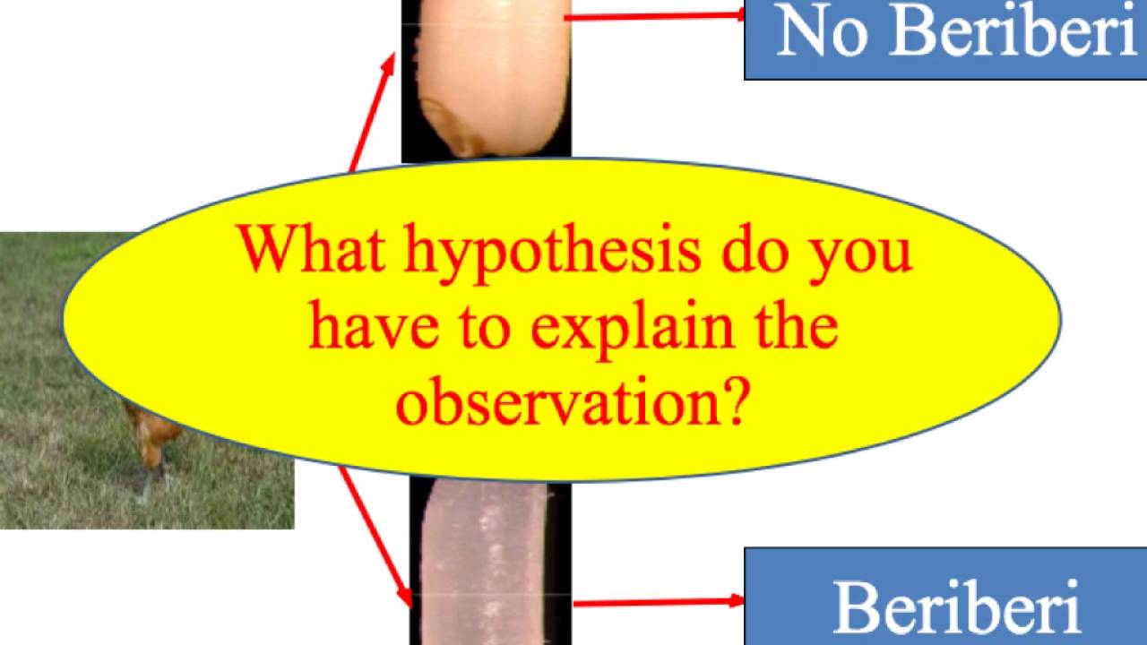 Chapter 1 Introduction to Biology (scientific Investigation)
