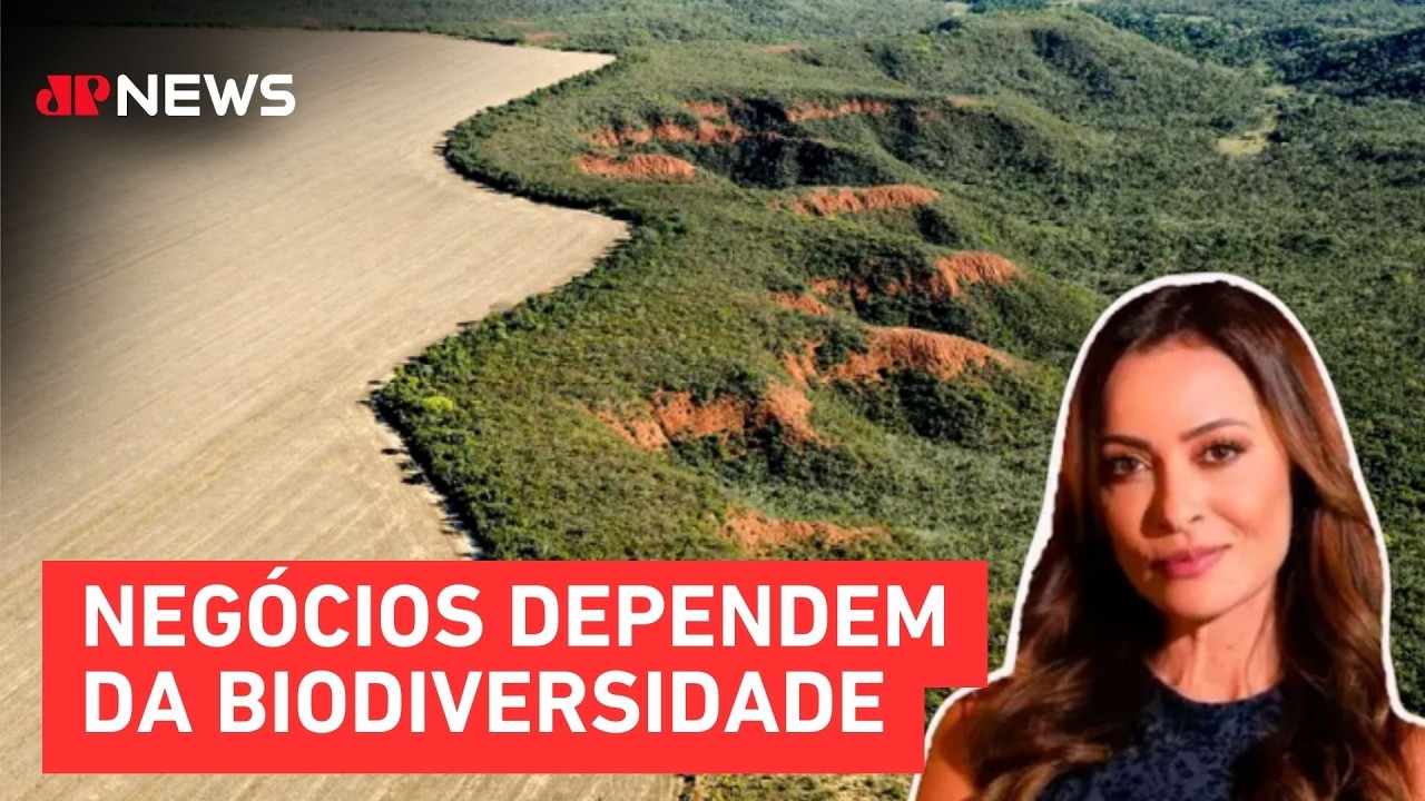 Empresas podem perder dinheiro sem políticas ambientais; Patrícia Costa comenta