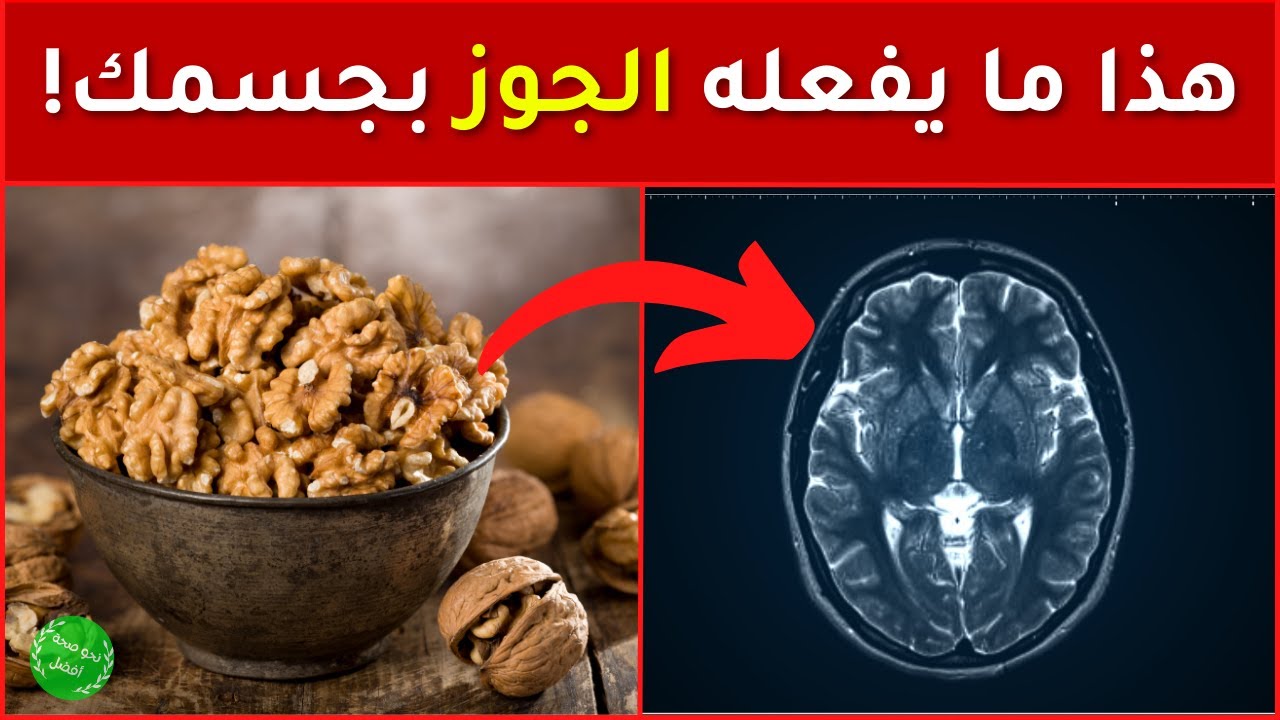 فوائد الجوز - هل تعلم ماذا يحدث داخل جسمك عندما تتناول عين الجمل 11 فائدة ستبهرك