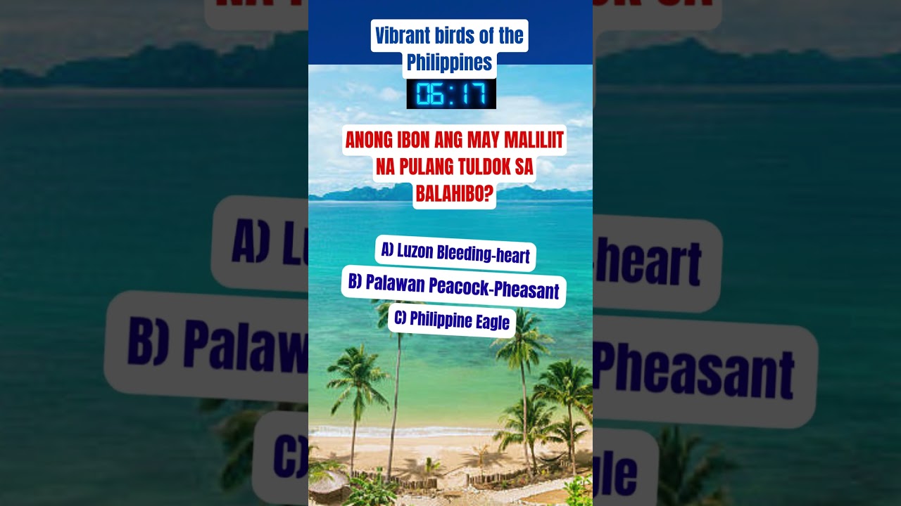 Luzon Bleeding heart 