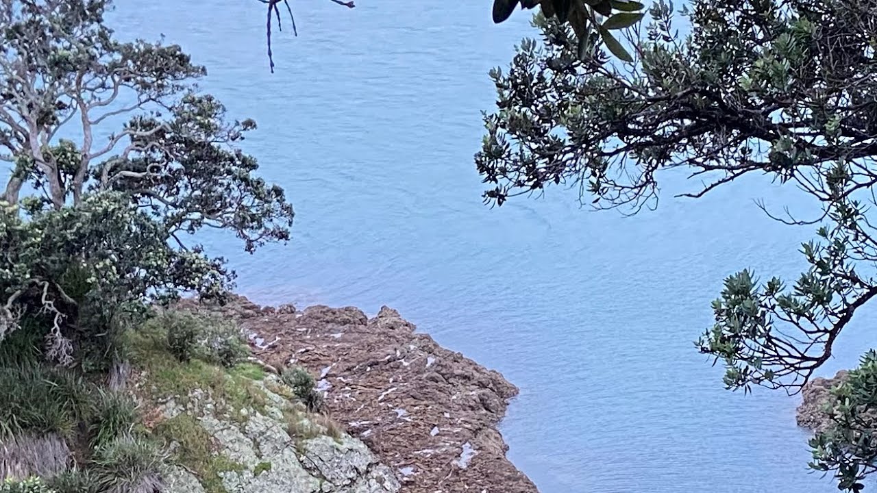 Kawakawa Bay fishing| Rock fishing | Nz fishing adventure