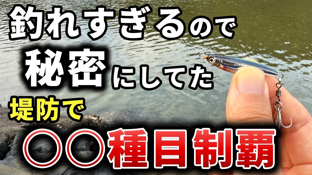 【完全チート】もはや餌の極小ルアーがマジで簡単に釣れすぎる！お手軽堤防でドラグ出まくりの爆釣だった