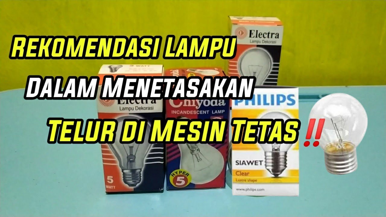 Rekomendasi Lampu Dalam Menetaskan Telur Di Mesin Tetas 💯