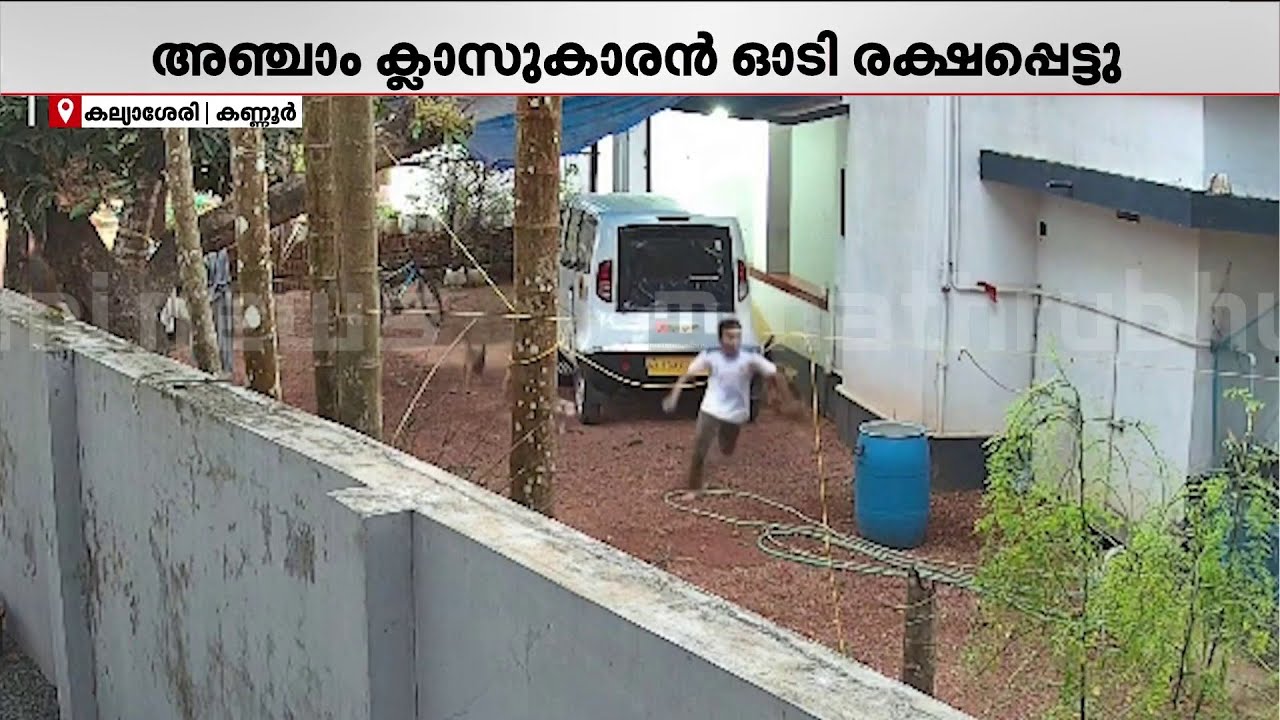 തെരുവ്നായക്കൂട്ടം ഓടിച്ചു; ആക്രമണത്തിൽ നിന്നും അഞ്ചാം ക്ലാസുകാരൻ തലനാരിഴയ്ക്ക് ഓടി രക്ഷപെട്ടു