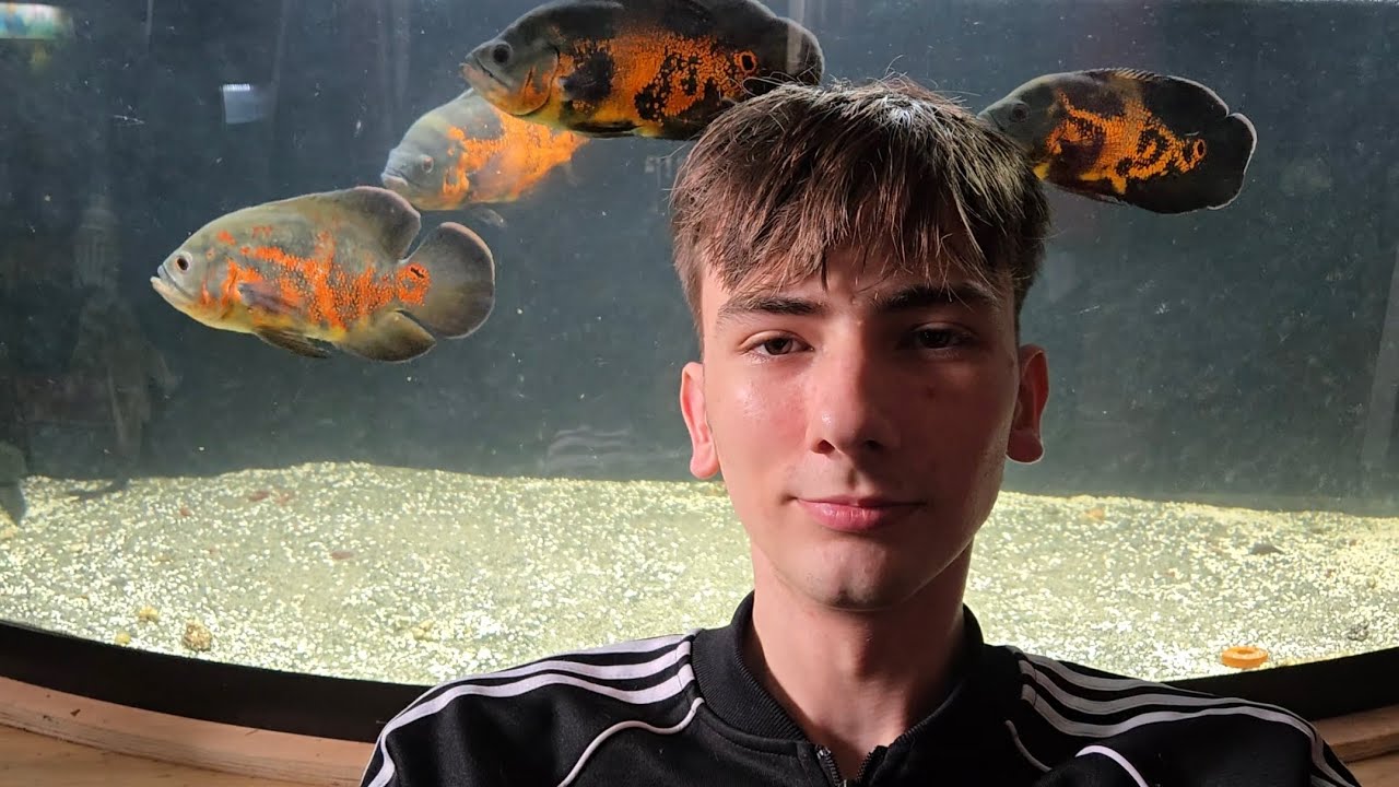 20.