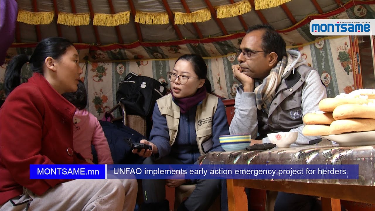 UNFAO implements early action emergency project for herders