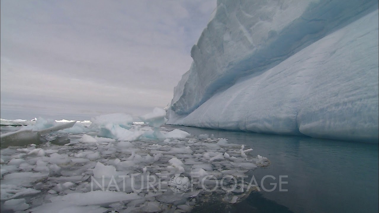 Antarctic Ice Floes And Iceberg