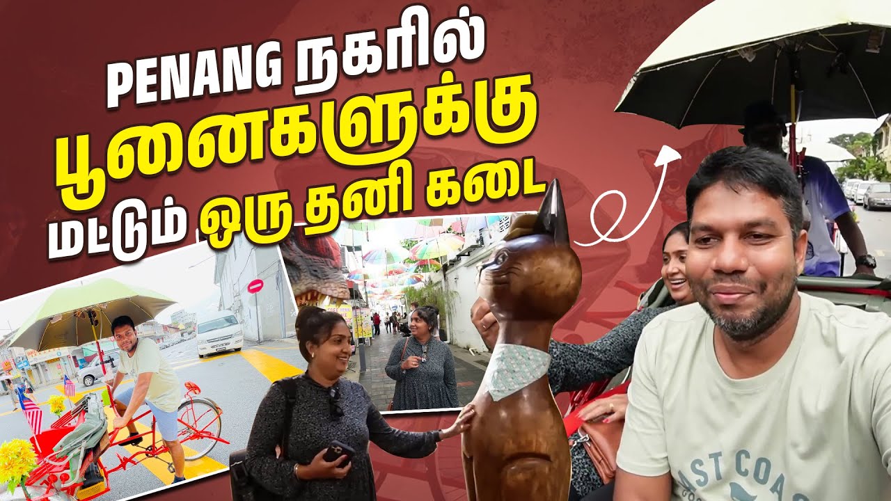Malaysia-வில் இந்த இடத்தில் வாழும் மக்கள் குடுத்து வெச்சவங்க.. ஏன்? 😮| Penang | Rj Chandru Vlogs