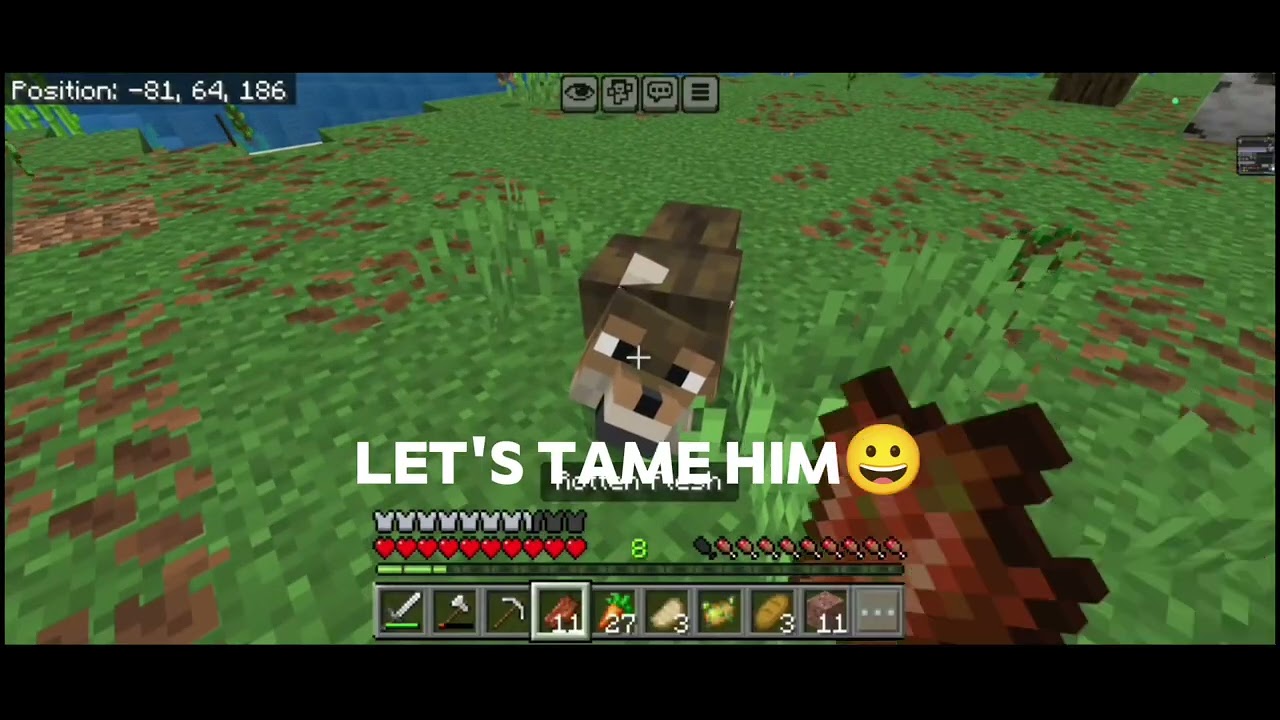 Again new start of minecraft survival series 😀 | #shorts #minecraft #survivalseries 