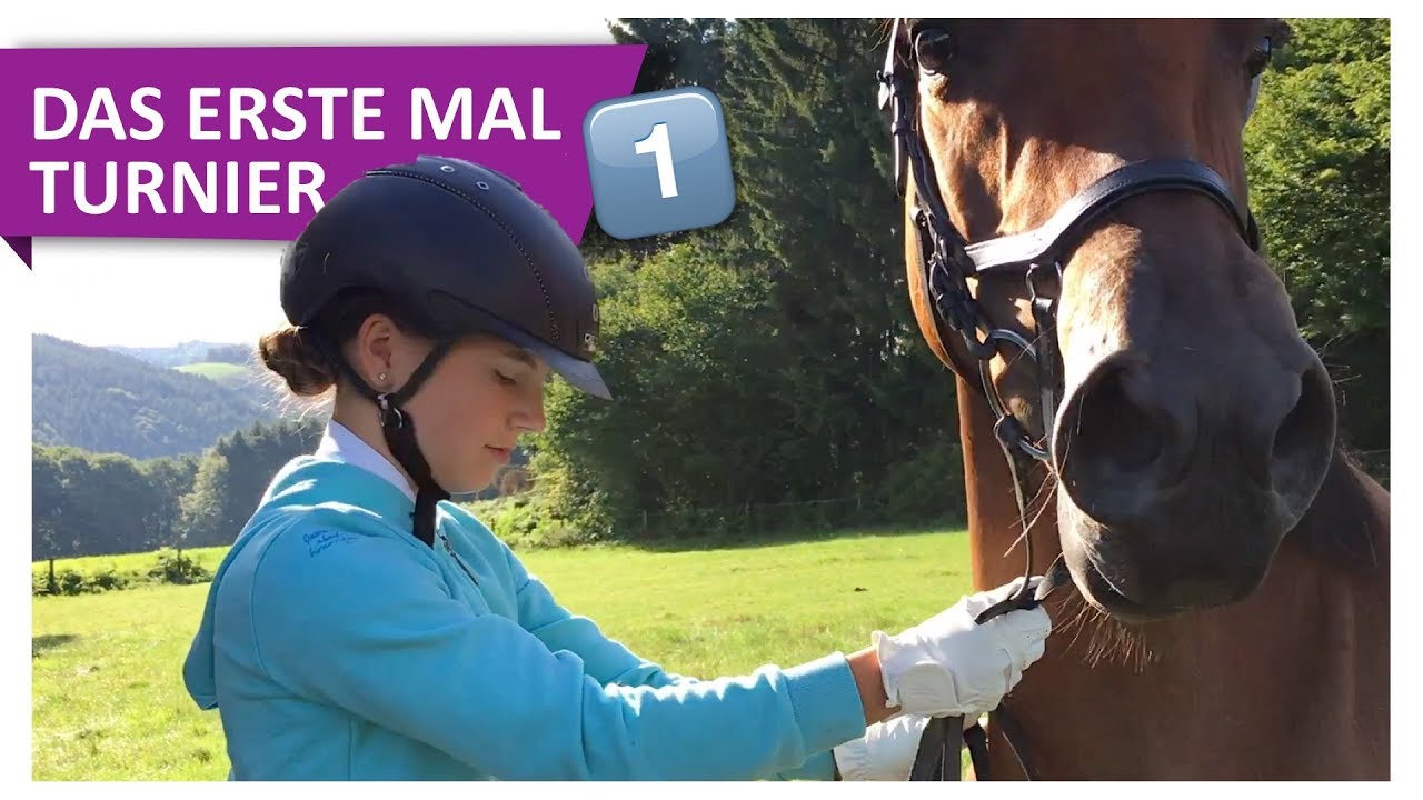 Mit Gini zum ersten Turnier 🐴 FMA Teil 1: Es geht los!
