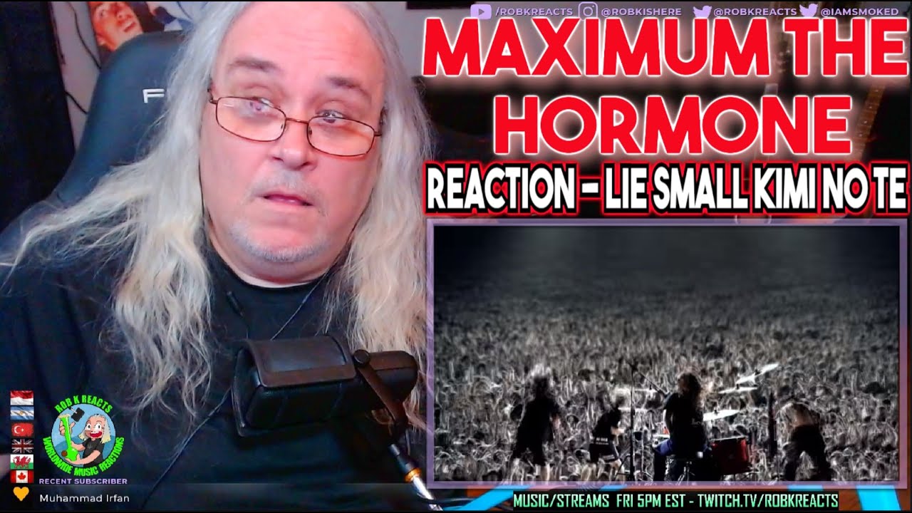 マキシマム ザ ホルモン Maximum the Hormone Reaction - lie Small Kimi no Te - First Time Hearing - Requested