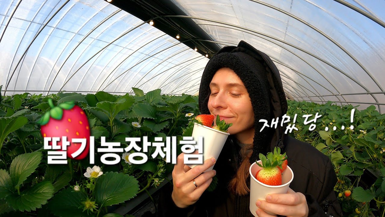 딸기체험하는 러시아 미녀 [국제부부] 린나와나TV -용인포레스트벨