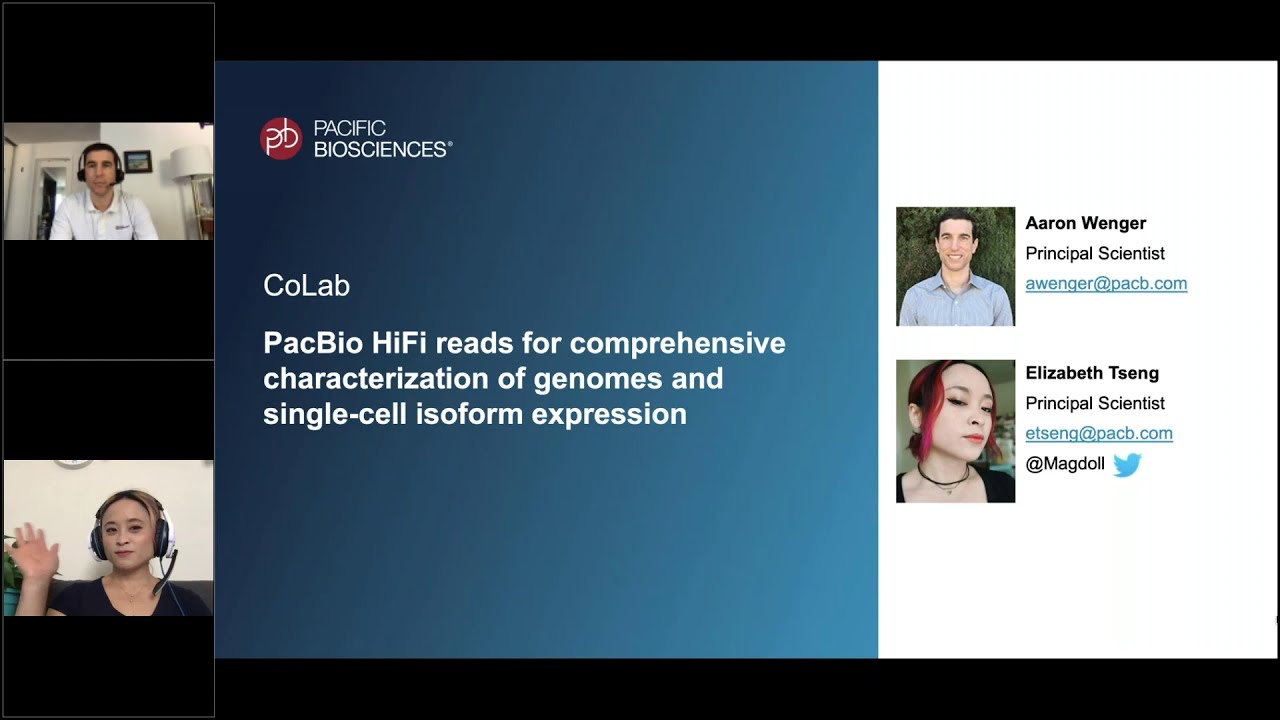 PacBio HiFi Reads for Comprehensive Characterization of Genomes and Single-Cell Isoform Expression