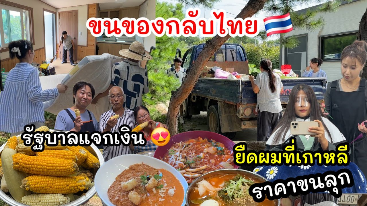 EP.975 ขนของกลับไทยอยู่ไม่ถึง 8 เดือนเลย ไม่เป็นไรน๊าา 💕🙂 รัฐบาลแจกเงิน ยืดผมที่เกาหลีราคาขนลุก
