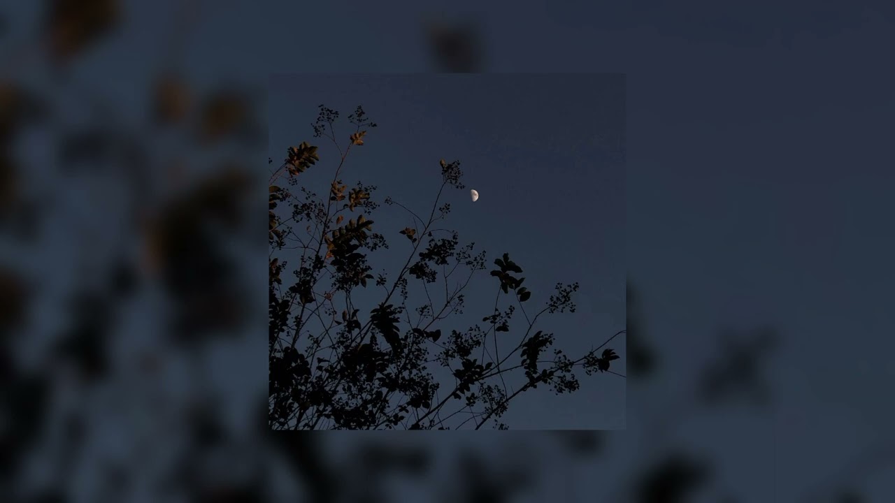 Merab Amzoevi - Были бы крылья (slowed + reverb)