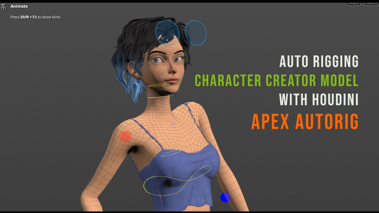 RIGGING Character Creator (CC) model with APEX Autorig in HOUDINI