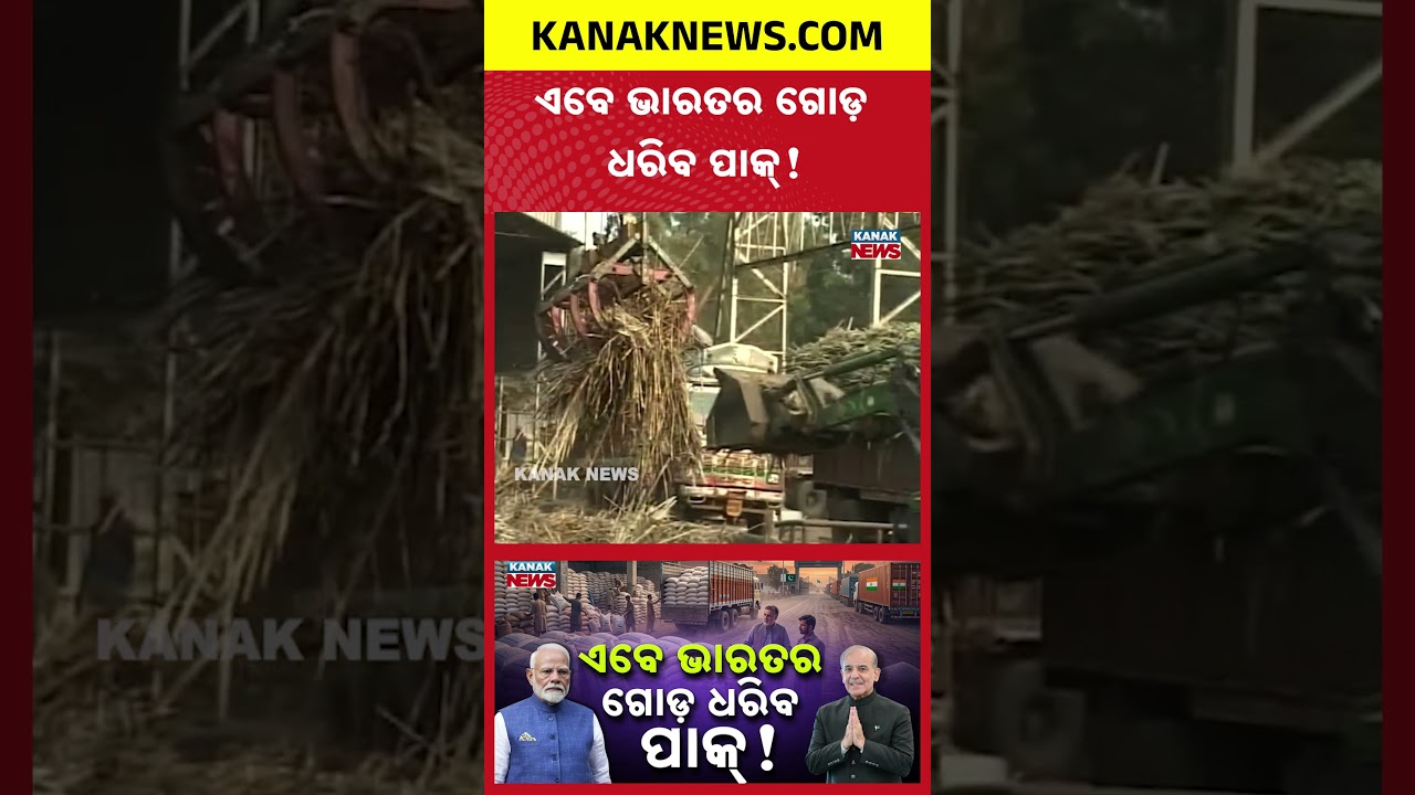 ଏବେ ଭାରତର ଗୋଡ଼ ଧରିବ ପାକ୍! Special Report On Sugar | Pakistan Wants to Export Sugar to India