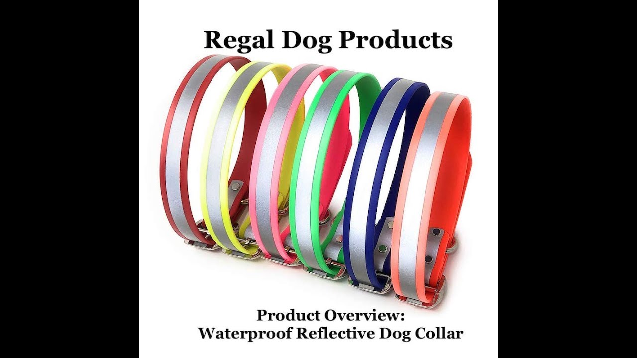 Product Overview: Waterproof Reflective Dog Collar