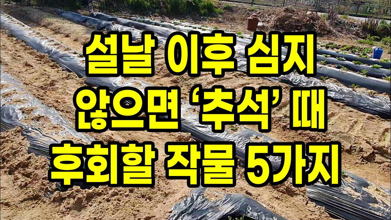 설날 이후 심지 않으면 추석 때 반드시 후회하게 될 작물 5가지