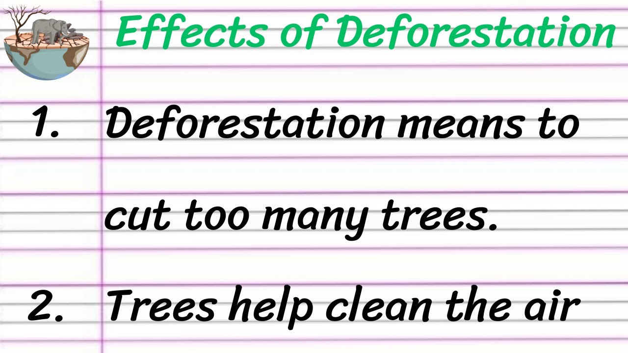 Effects of Deforestation Essay in English 10 Lines || Short Essay on Effects of Deforestation