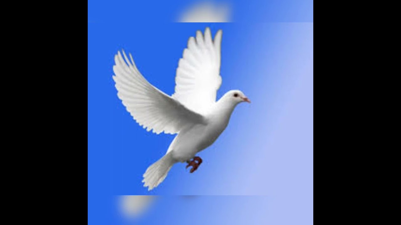 N'ayez pas peur Dieu prendra soin de vous .