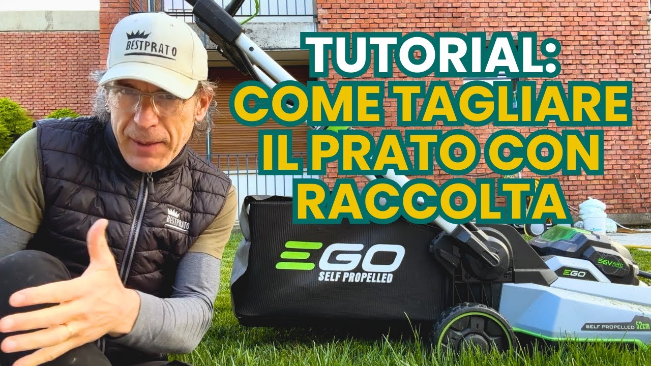 TUTORIAL: Come tagliare il prato con Raccolta?