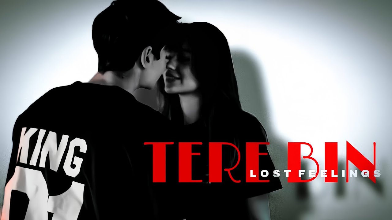 Tere Bin – Romantic track Love Song | Heart Touching Melody | II Lost Feelings II 2026