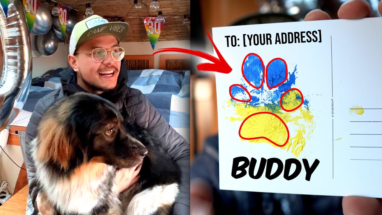 We SIGNED Art Postcards for YOU (on my birthday)! 🐾💙💛