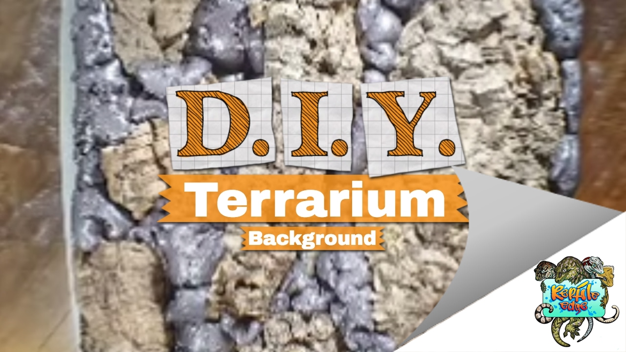 Custom Terrarium Background