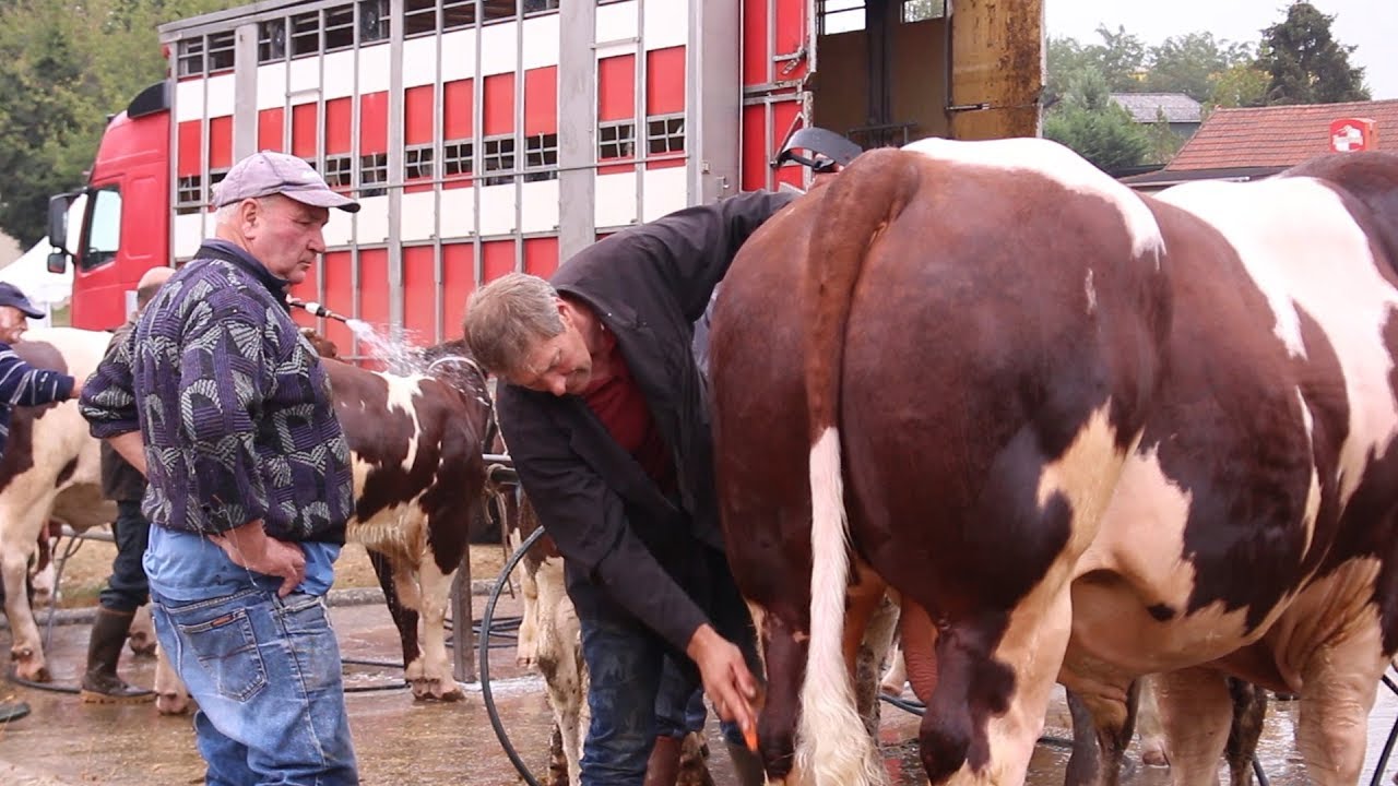 Concours National Rouge des prés
