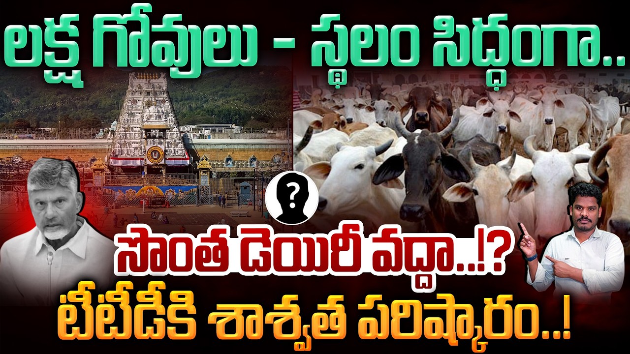 A permanent solution for TTD: లక్ష గోవులు - స్థలం సిద్ధంగా.. టీటీడీకి శాశ్వత పరిష్కారం..! | PINN