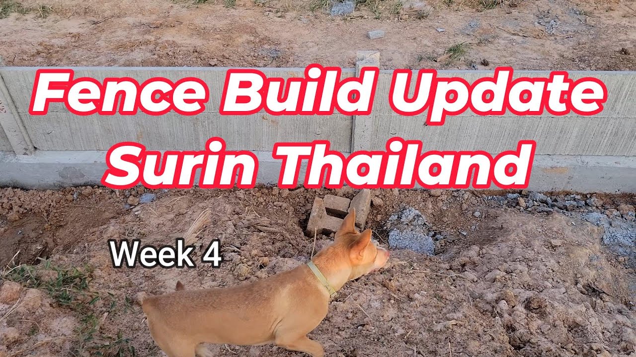 Fence Build Update Week 4 Surin Thailand 4K UHD