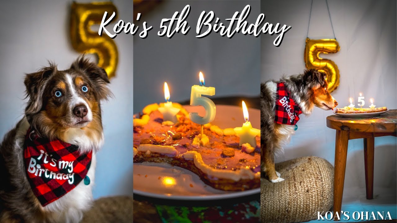 Koa’s 5th Birthday - Koa’s Ohana