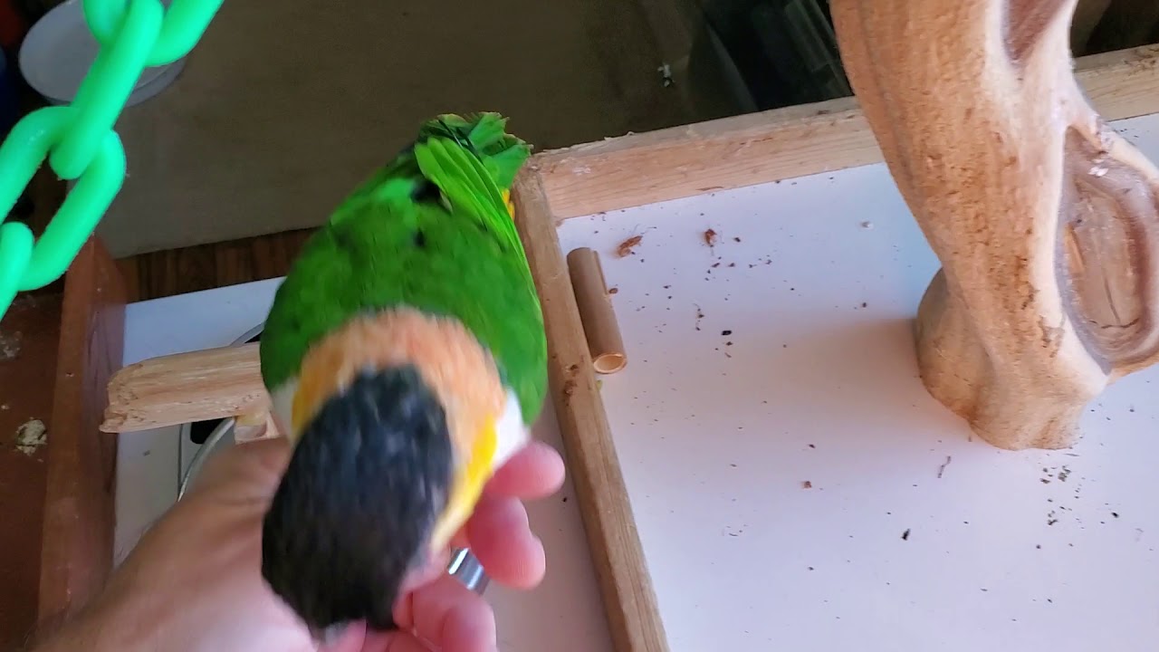 Центральный Кайке!