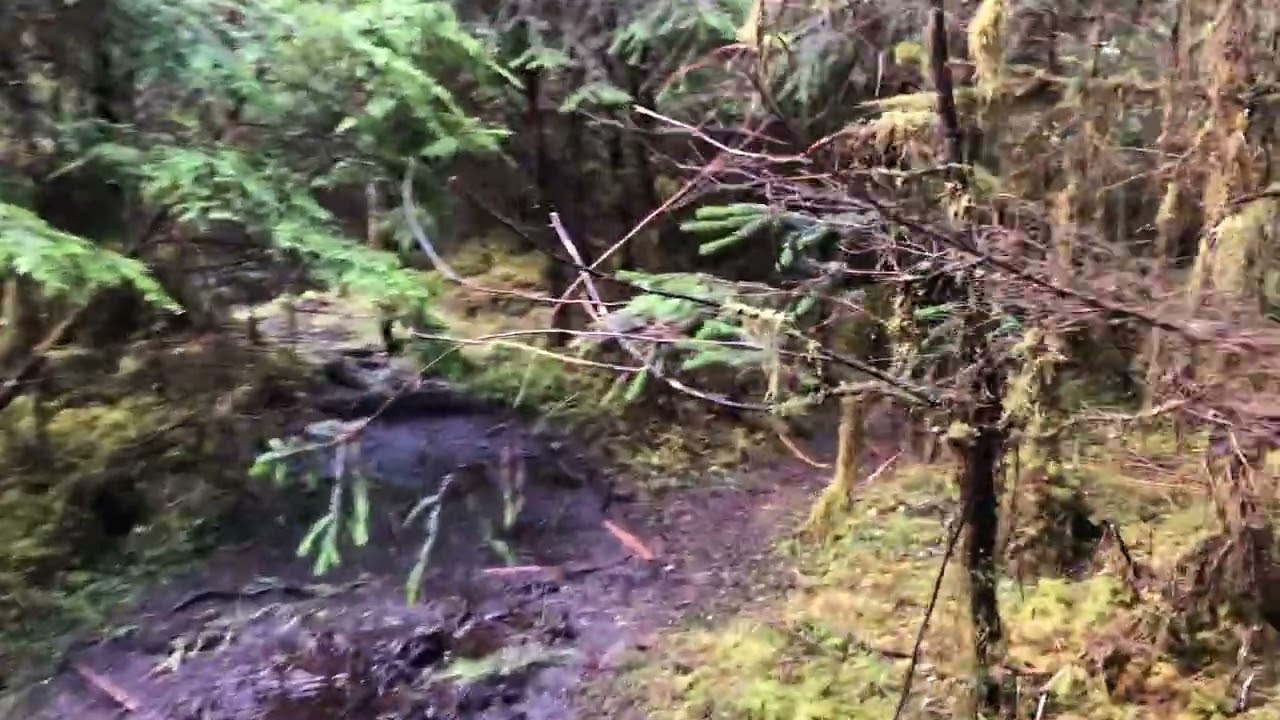 A Walk to Lost Creek