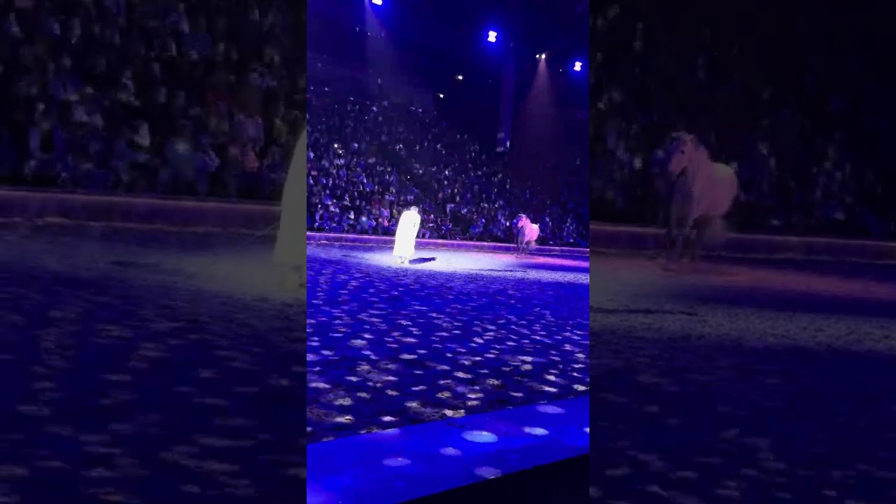 Cavalluna Kiel 30.3.25  Alex Giona