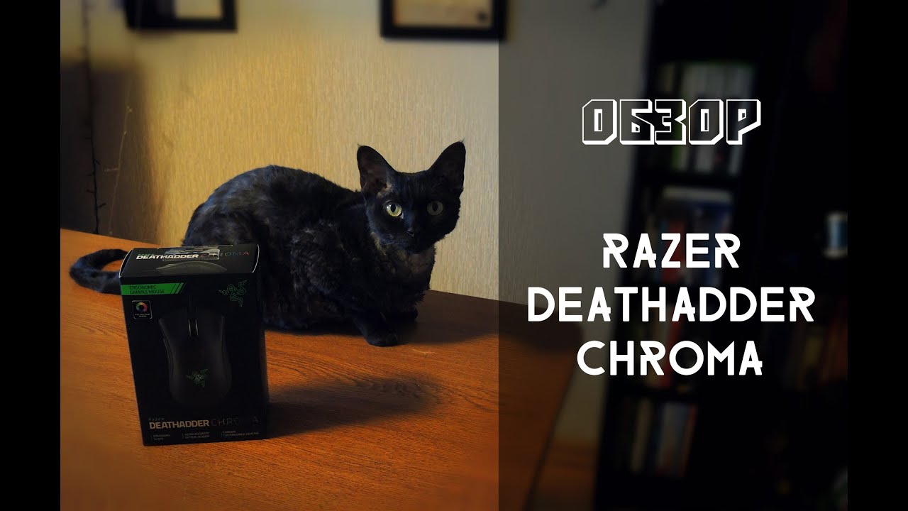 Обзор Razer DeathAdder Chroma