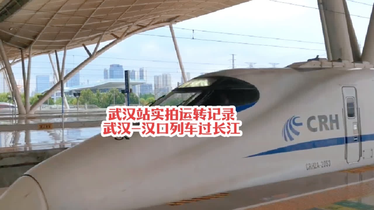 #火车迷爱好者 中国最美高铁站武汉站运转记录D3274列车过长江#沿途随拍 #铁路摄影 #记录行程 #高铁🚅