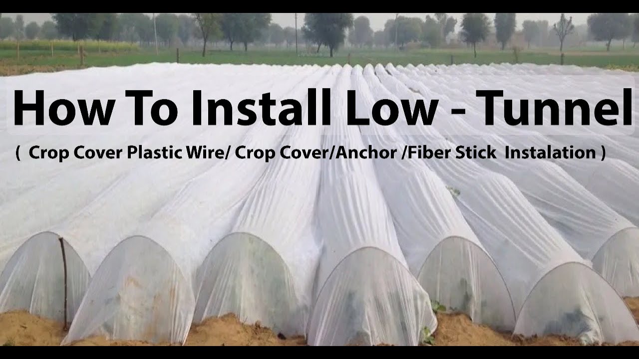 How to prepare Low Tunnels | Low tunnel farming in india | Low Tunnel Farming | Ratan Plastic Wire