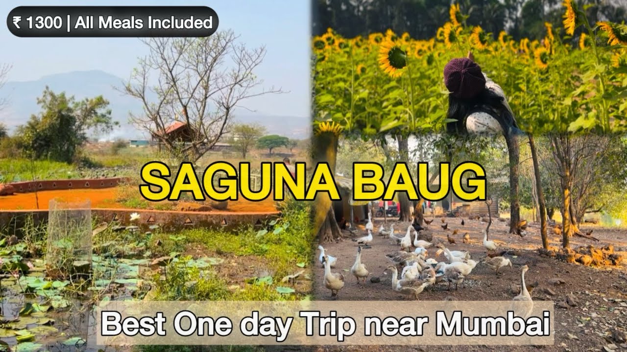 Saguna Baug Neral Agro Tourism  | One day trip near Mumbai | Activities,Farm Tour, Food | Pond House