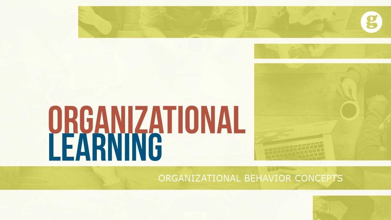 Organizational Learning