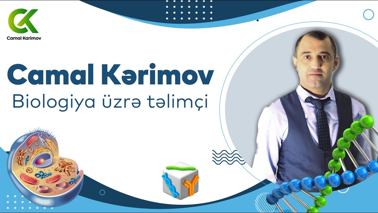 DİM 2023 abituryent-1 jurnalında verilən model testlərin izahı