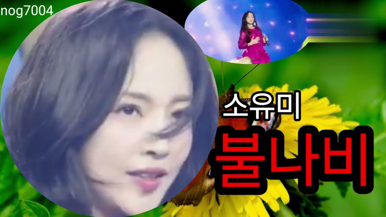 불나비 소유미 