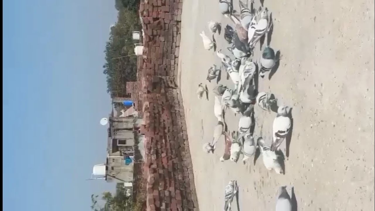 7 MarchAgra mein Arif bhai kheriya mod wale aur unke shauk ki video aur garmiyon ka shauk dikhayenge