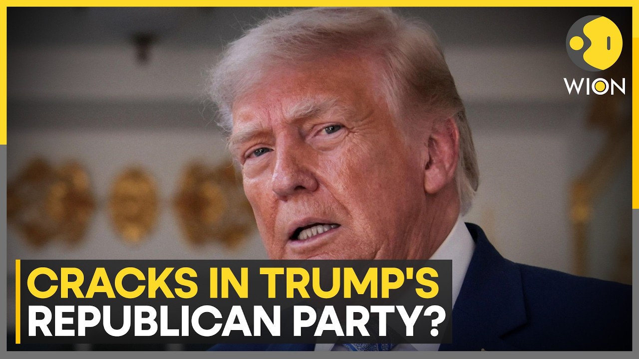 Republican Senator Criticises Saudi-US Nuclear Deal | WION News