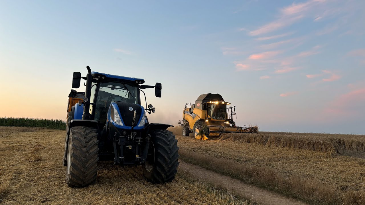 🇵🇱|4K|☆ŻNIWA 2024☆ New Holland Cx 5080 & New Holland T7 230 & 185🌾